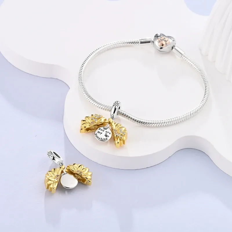 Qikaola 925 Sterling Silver Celestial Charm Bead